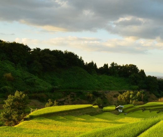 世界上最赚钱的运动员