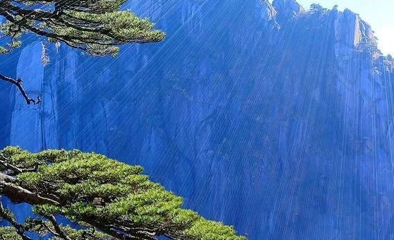 上海科技馆电话