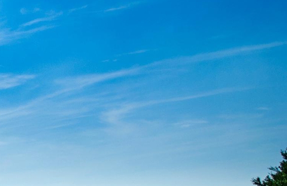 燕子从你的全世界路过