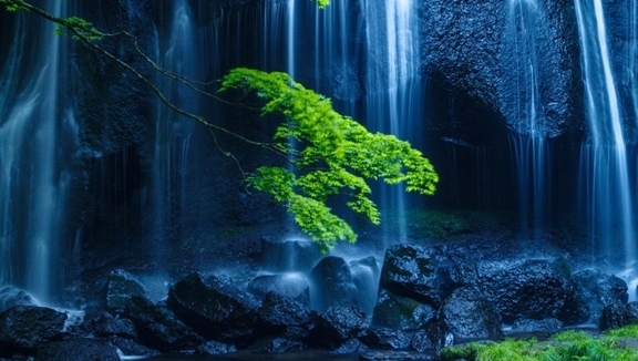 世界最大的大学