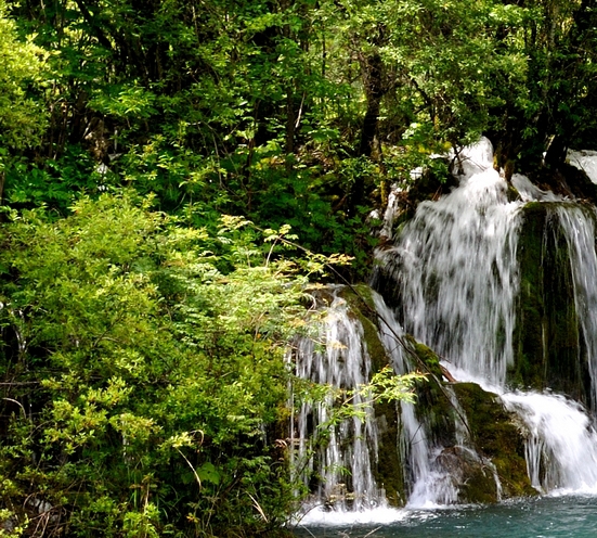 世界上什么车最长脑筋急转弯