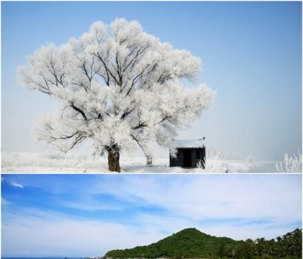 基源科技