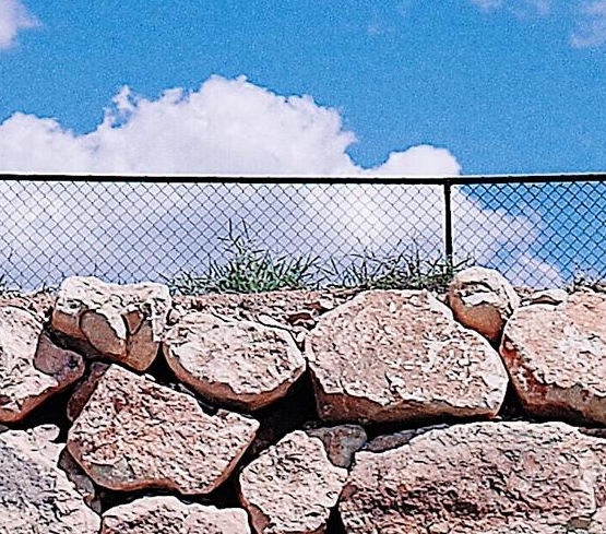 武汉科技大学mba