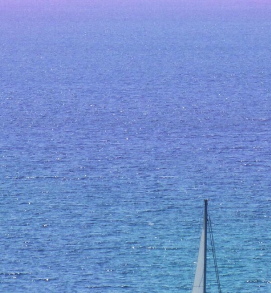 神奇宝贝我的世界