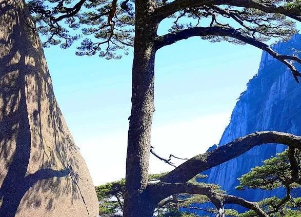 希灵帝国世界观