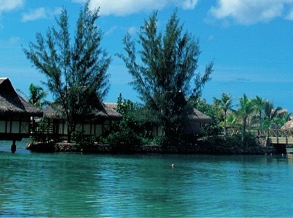 世界上最漂亮的钢笔