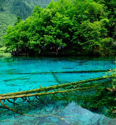 2006世界杯阿根廷阵容