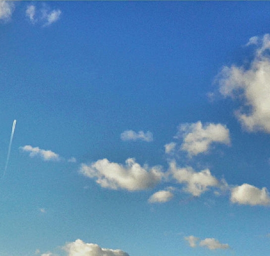 读平凡的世界有感1500字