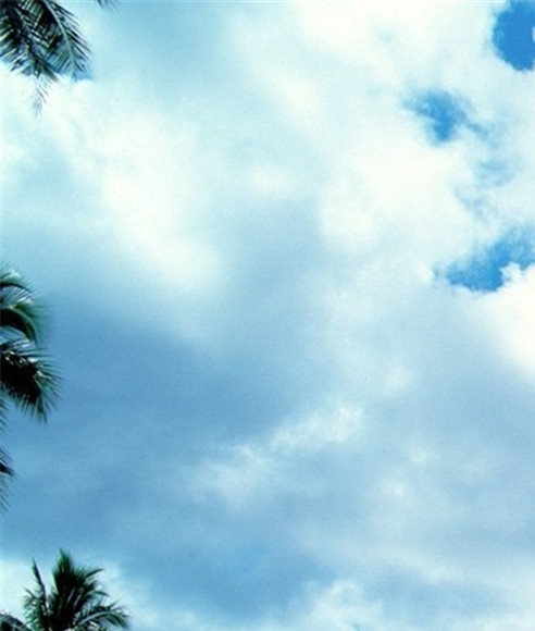 世界上最小的种子