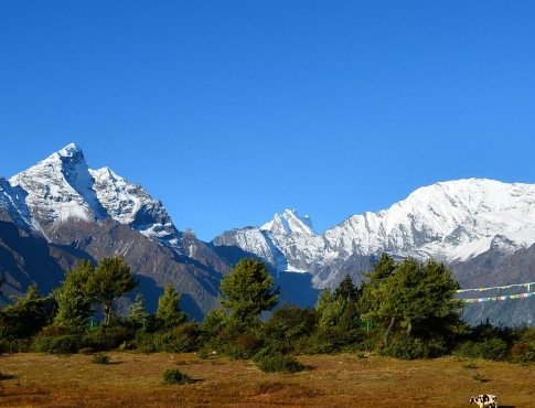 2018世界杯射手榜