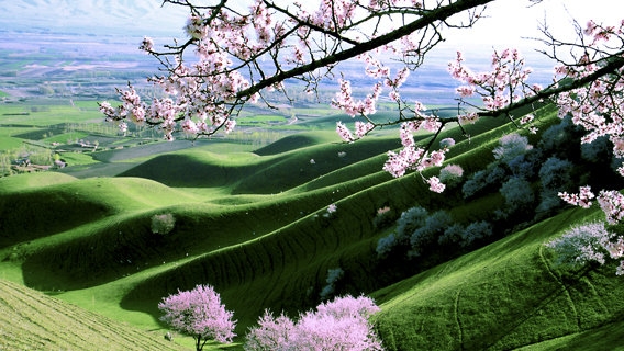 世界最长的运河是哪一条