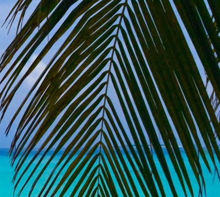 临沂极地海洋世界门票多少钱：临沂极地海洋世界门票价格及游览攻略，带孩子体验海洋奇妙之旅