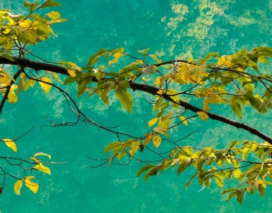 深圳市邦克仕科技有限公司