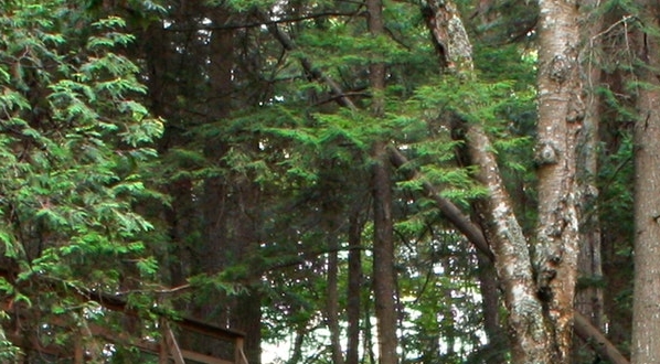 女子八百米世界纪录