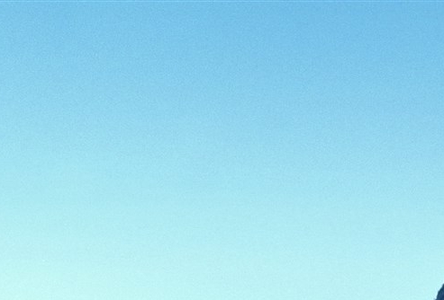 星巴克是不是世界500强