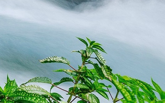 深圳侨云科技股份有限公司