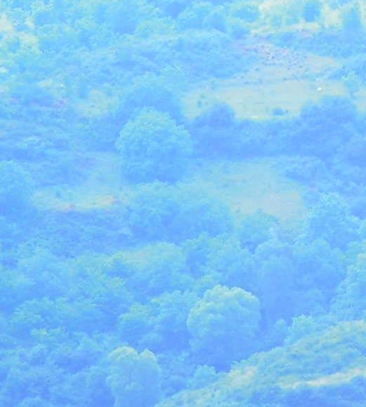 我的世界行尸危机：我的世界生存之枪械行尸危机