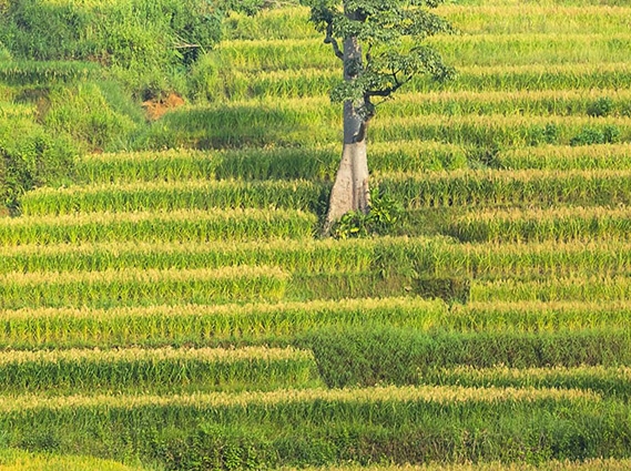 青青世界好玩吗：深圳南山青青世界：乐趣无限，绝对让你怦然心动！