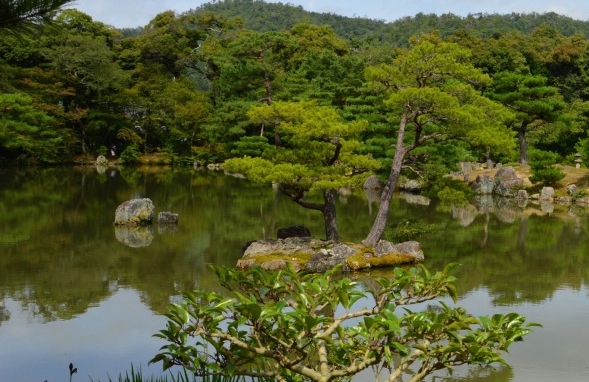 fifa足球世界最强门将