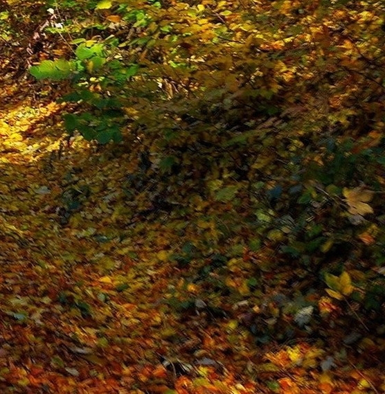 世界顶级山水风景图片：世界顶级奇特风景图片壁纸，探索未曾见过的世界顶级山水风景