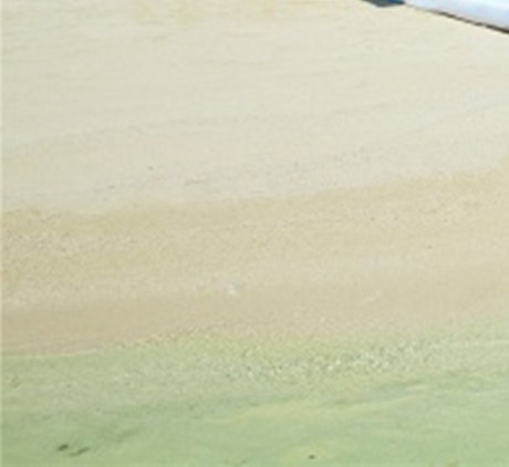 肥西县祥源花世界