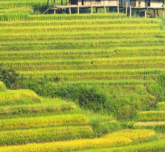 小熊科技