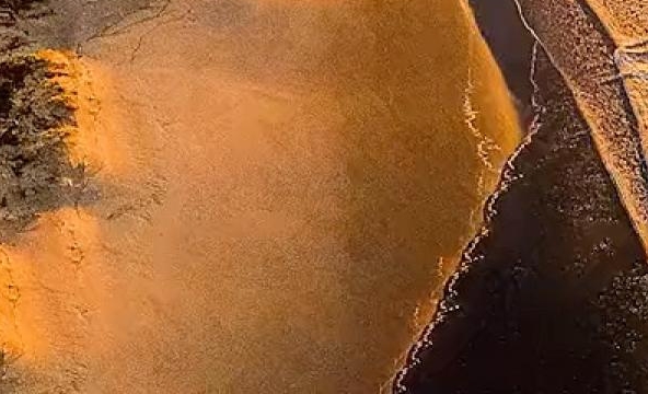长春百克生物科技股份公司