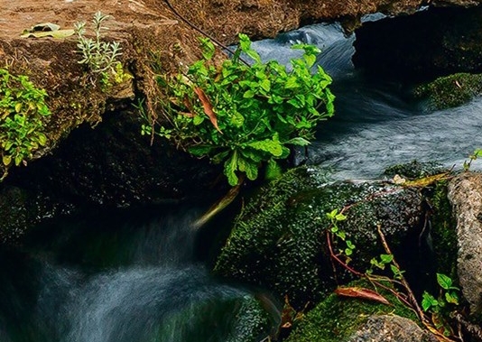 河南科技大学档案馆