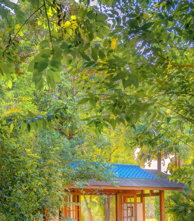 水木宝宝看世界