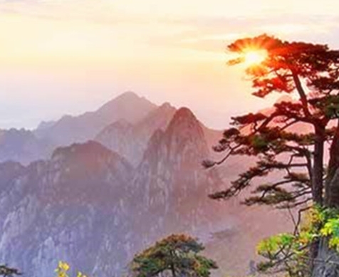 世界四大间谍组织