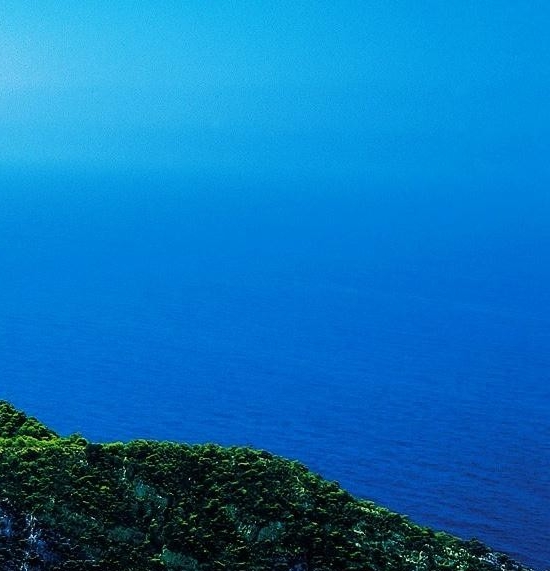 河南科技学院百泉校区：探索其占地面积、本科专科并揭秘宿舍情况
