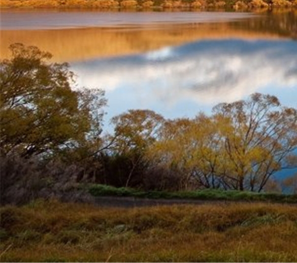 同济土木世界排名