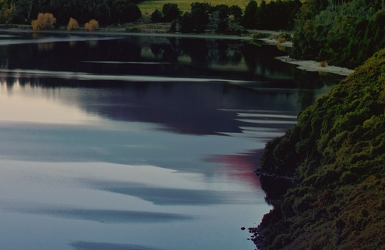 世界最早的文字是什么