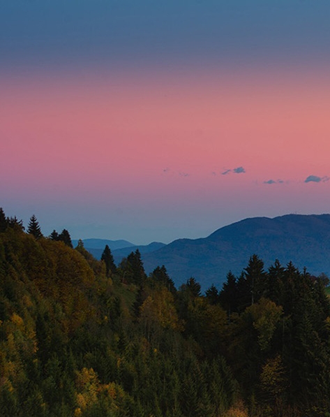 毁灭世界的六人