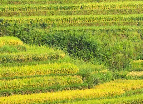 南京慧尔视智能科技有限公司