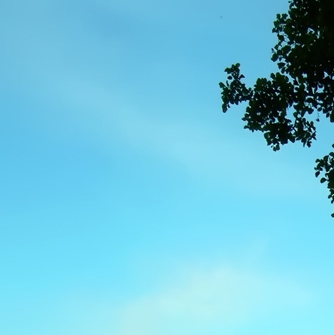 战舰世界德系巡洋舰：战舰世界：德系巡洋舰与战列舰之路