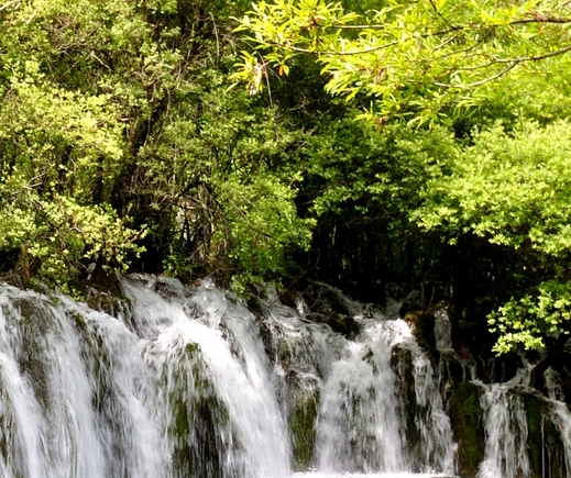 深圳市圣凯安科技有限公司