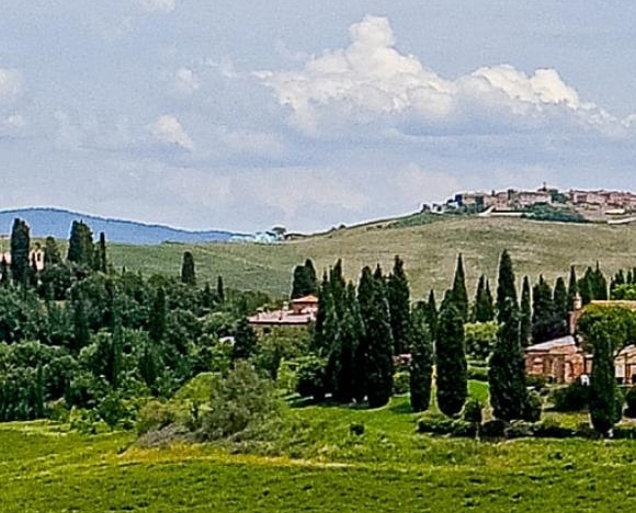 跨境电商实训总结