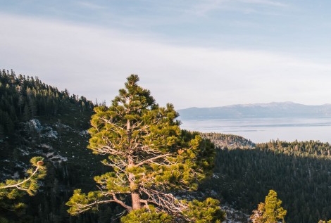 众邦生物科技有限公司