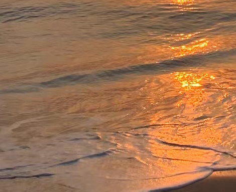 世界之窗夜景图片