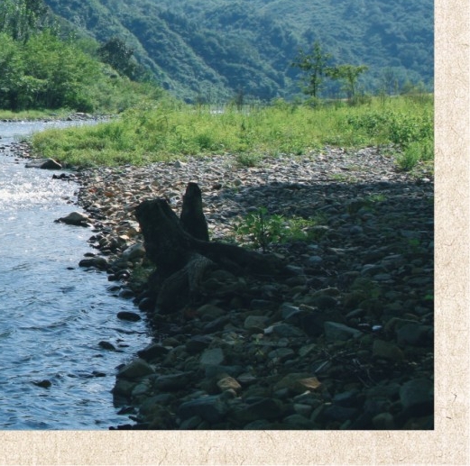 鹭湖水世界