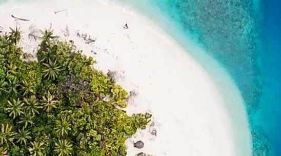 上海世界之巅：登上上海之巅，领略世界之巅的壮丽景色