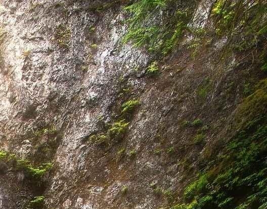 papi酱世界读书日