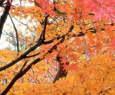 世界无烟日主题活动