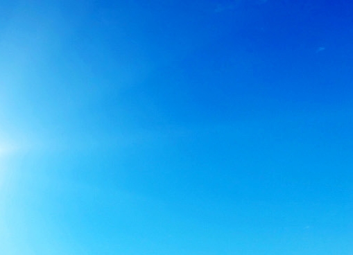 世界狮王争霸赛