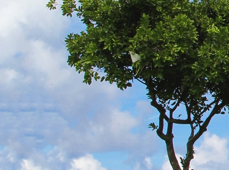 华中科技大学 财务处