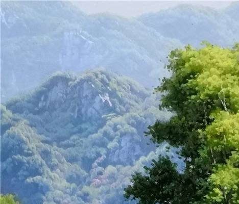 三七网络科技有限公司、安徽三七网络科技有限公司、广州三七网络科技有限公司与三七互娱合作的官方网站