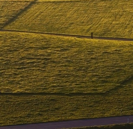 厦门游动网络科技股份有限公司