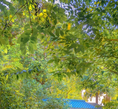 世界景观设计网：全球悠游景览，搜罗最新景观设计动态