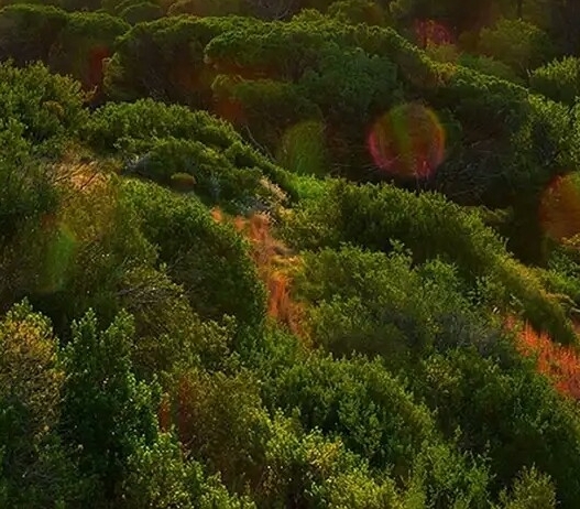 中溶科技：冯文菊招工，丰润中融科技与唐山中溶科技股份有限公司电话